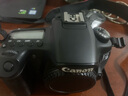 佳能/Canon 60D 70D 77D 80D 90D 半画幅 中高端单反 二手单反相机 数码相机 60D +50F1.8stm（小痰盂）套机 95成新 实拍图