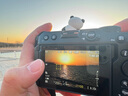 尼康（Nikon） 【全新国行出游】Z30入门级微单相机Vlog家用自拍4K高清旅游高清数码照相机z30拆 Z30 16-50VR+50-250 VR双头套 标配【送钢化膜+充电器+相机包+晒单送三脚 实拍图