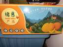 诸氏橙品【褚系严选】官方橙子水果 秭归伦晚脐橙 高山冰糖甜橙生鲜礼盒 褚系严选10斤珍品XXL果--净9斤 实拍图