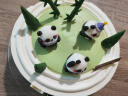 元祖（GANSO）8号中华熊猫鲜奶蛋糕800g 网红儿童生日蛋糕同城配送 动物奶油 实拍图
