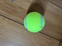 狗狗玩具球自嗨解闷神器宠物边牧金毛柯基耐咬球训练磨牙网球橡胶 绿色1个 全适用 实拍图
