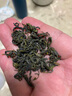 崂茗崂山绿茶茶叶500g浓香云雾毛尖山东青岛特产手工茶叶散装豆香简装 实拍图