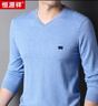 恒源祥100%纯羊毛男士V领薄款修身针织衫毛衣15001002 浅兰 175/92A  实拍图