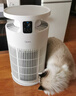美的（Midea）空气净化器宠物家庭必备 吸猫毛除过敏源杀菌消毒除猫狗异味智能托管 【小怪兽PET500】浮毛去除率95.3% 实拍图