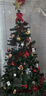 多美忆圣诞树套餐圣诞节装饰品加密型家用商场氛围布置1.2米经典含彩灯 实拍图