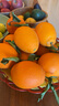 逮果重庆奉节脐橙纽荷尔春橙福本特级大果礼盒装时令新鲜孕妇水果橙子 净重4.5斤果王/80mm+/约7-9个 实拍图