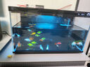 小米米家智能鱼缸小型客厅办公室桌面一键换水远程喂食超白玻璃生态缸 小米智能鱼缸+蘑菇屋造景 实拍图