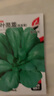 【今年新种】青香大叶茼蒿桐花菜大叶蓬蒿菜耐热皇帝菜火锅蔬菜 大叶茼蒿种子 买三包送二包约5000粒 实拍图