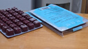 YEE冰冻红虫丰年虾牛心汉堡罗汉六角恐龙七彩孔雀鱼发财鱼饲料鱼鱼食 【顺丰】精品大红虫10板（喂食镊+化冰盒） 实拍图