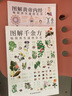 【自营包邮】图解本草纲目+黄帝内经+千金方养生速查全书套装（全3册） 实拍图