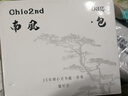 南风Chio2nd桑巴酒廊枕头包包女包春夏复古波士顿包通勤手提单肩包 【棕色】桑巴酒廊枕头包 实拍图