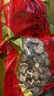 聖武山珍湖北十堰房县特产小花菇香菇干货500g冬菇神农架蘑菇菌菇山珍煲汤 实拍图