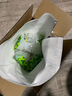 轻食煮义6袋装魔芋丝低卡0低脂肪热量即食方便速食代餐粉丝结宿舍主食食品 实拍图