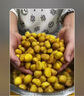 智汇 板栗开口器 304不锈钢剥板栗神器板栗开壳器板栗夹子十字划口刀多功能开核桃夹栗子开口器工具 板栗开口器 实拍图