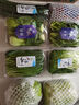 小汤山 有机圆白菜 约600g 有机蔬菜基地种植当天采摘 实拍图
