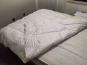 然牌TTC静音抗菌白鹅毛被芯 双人加厚保暖冬被 约4斤 200x230cm 白色 实拍图