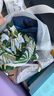 HengTravler夏季新款妈妈泳衣女中老年泡温泉显瘦遮肚保守裙式连体大码泳装 墨绿 3XL 【建议140-160斤】 实拍图