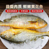 海升东 黄花鱼 大黄鱼 深海速冻国产东海大黄花鱼 生鲜 鱼类 海鲜水产 5条装 1.4斤-1.6斤/条 实拍图