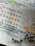 【年级可选】超级作文本蒋军晶一间读写教室同步作文小学生三四五六年级上册下册同步课本教材小学生优秀作文大全满分类作文素材写作技巧小学写作指导书 超级作文本 三年级下册 实拍图