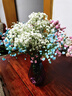 爱满（AIMAN）满天星天然干花花束ins网红生日 新房装饰摆件风干真插花家居摆设 蓝+白+粉满天星 【带M款花瓶】 实拍图