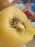 佳沛（zespri）阳光金奇异果30-33粒原箱单果重约103-124g水果 年货礼盒 实拍图