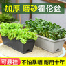 德沃多肥料霍伦种菜花盆小号(黑色)*2家庭育苗盆长方形种植多肉箱阳台种菜箱 实拍图