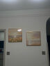 墨派餐厅装饰画几何抽象饭厅背景墙挂画客厅两联画轻奢壁画免打孔 花朝月夕 40*40cm晶瓷+铝合金边框 实拍图