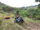 赛普迪沙滩车四轮越野摩托车全地形燃油山地成人四驱/后驱摩托车双人ATV 新款平衡轴发动机200cc推荐 实拍图
