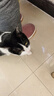 熊猫牛牛厚底防滑 冬季保暖棉拖鞋全包跟男女室内家居月子带后跟毛毛棉鞋 酒红 39-40 合适37-38的脚 实拍图