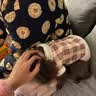 阿莫尔秋冬猫咪衣服加厚保暖可牵引棉衣宠物比熊泰迪小型犬马甲狗狗衣服 皮毛一体（粉色） M(建议5-8斤具体参考胸围背长) 实拍图