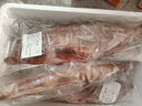 朵芙 海参斑鱼 多规格 红鱼净重 红石斑鱼大眼鱼富贵鱼深海鱼生鲜鱼类 【精选送礼】2斤*4条 实拍图