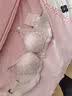 梦芭蒂内衣女小胸聚拢馒头杯文胸加厚内杯显大性感无钢圈上托收副乳胸罩 实拍图