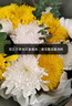 花与千寻鲜花速递菊花鲜花束清明节祭奠祭祀丧葬扫墓鲜花上坟悼念同城配送 19朵黄白菊花单束价格 实拍图