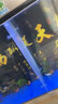 销键亚克力鱼缸内隔离网客厅鱼缸盖板透明水族箱挡鱼隔板分离板防跳网 定制尺寸送8个卡子 实拍图