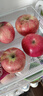 桃李村正宗冰糖心苹果 时令生鲜水果红富士脆甜丑苹果年货礼品整箱 带箱10斤 净重8.5斤单果  65-75mm 实拍图