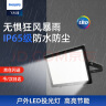 飞利浦（PHILIPS）明欣大功率LED投光灯防水户外室外射灯IP65泛光灯10W BVP150白光（6500K） 实拍图
