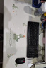 灵蛇（LINGSHE）发热鼠标垫 暖手桌垫 快速加热暖桌垫 电热暖手鼠标垫 超大暖手宝鼠标垫 80*33CM 恐龙 实拍图