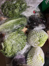 千牛优福新鲜生菜组合4斤球生菜红叶等6种沙拉蔬菜轻食蔬菜包 6种蔬菜共4斤【10包酱】 实拍图