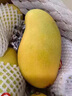 春福乐 【顺丰速运】海南三亚青皮澳芒 现摘芒果新鲜水果礼盒装 大果5斤丨时令尝鲜丨单果350+ 陆运一级果【性价比推荐】 实拍图