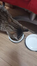 鲜朗猫粮 鲜肉低温烘焙猫粮 无谷物幼猫成猫奶糕全价猫粮宠物食品 2kg 实拍图