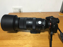 适马（SIGMA）60-600mm F4.5-6.3 DG DN OS｜Sports 全画幅微单 超远摄变焦镜头 人像打鸟（索尼E口） 实拍图