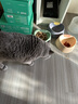 凯锐思猫罐头 猫零食红肉猫罐头猫咪营养罐头全阶段增肥营养 【玻尿酸丨补水罐头24罐】 实拍图