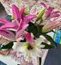 悦多彩优质水养鲜切花 母亲节三八节花束 昆明基地现采直发顺丰生活鲜花 百合2头5支+混色小菊5支 实拍图