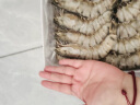 优牧冠特大号黑虎虾 草虾 冷冻大虾大号对虾节日送礼 特大号21-23cm 1.6斤(净重) 实拍图