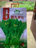 广东四九菜心种子红菜苔白菜苔四季蔬菜种籽孑增城迟青菜菜籽大全 四九菜心种子【1包 约1千粒】 晒单实拍图
