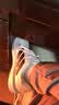阿迪达斯adidas男鞋女鞋中性舒适经典百搭板鞋休闲鞋IF4033 42.5码 实拍图