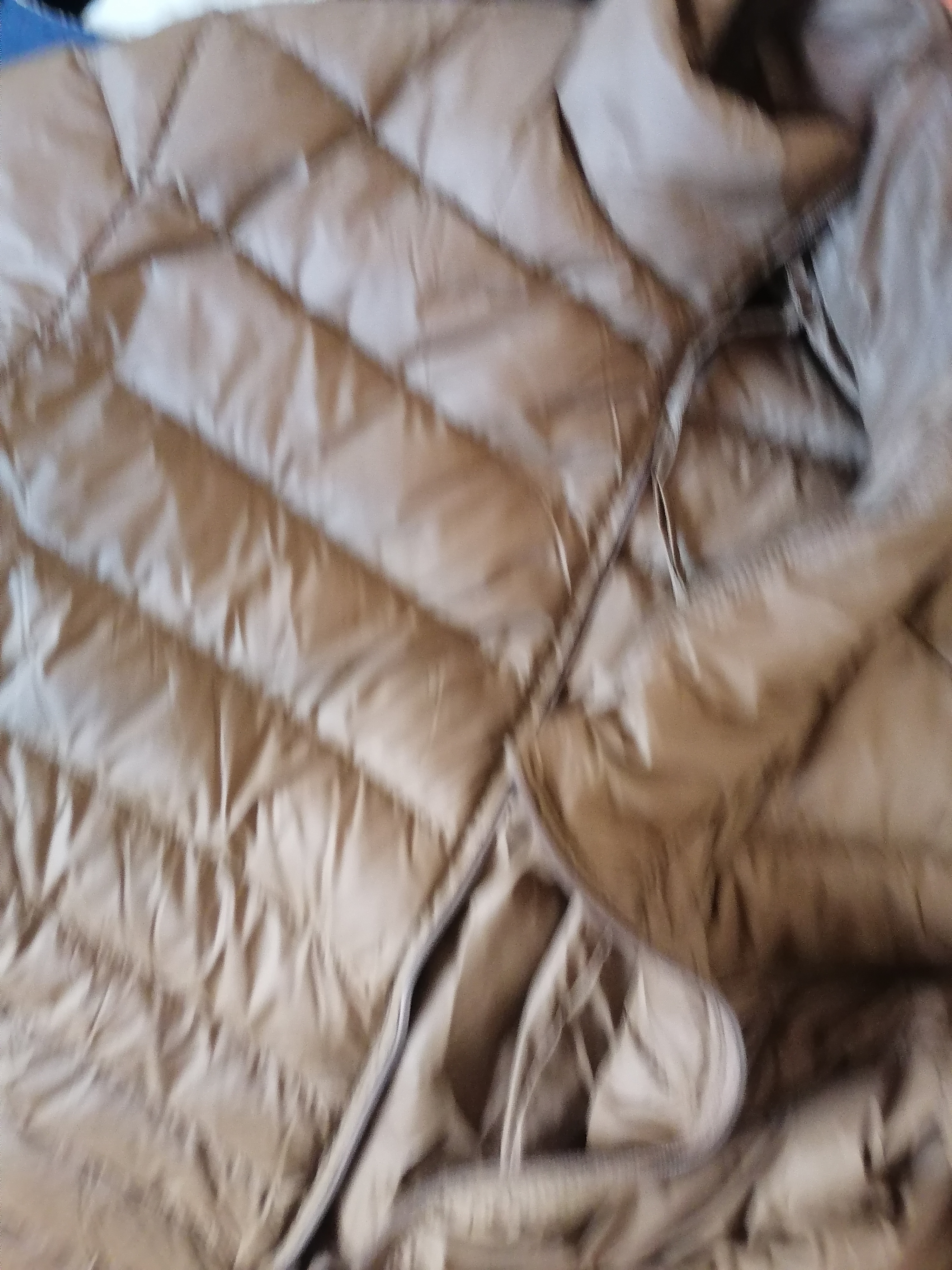 鸭鸭（YAYA）轻薄羽绒服男短款26新款秋冬新款立领保暖防寒轻便排骨反季外套KX 驼色 XL 180 【建议155-170斤】 实拍图
