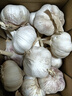 农多鲜河南干蒜新鲜正宗紫皮大蒜 多瓣蒜当季新鲜农产品蔬菜 净重2斤大果 实拍图