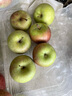密农人家国光苹果 小国光正宗国光苹果老品种今年新下树 口感酸甜时令水果 3斤 实拍图