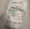 帮宝适（Pampers）清新帮拉拉裤 L码42片 通用 实拍图